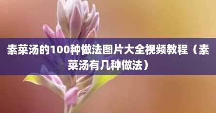 素菜汤的100种做法图片大全视频教程（素菜汤有几种做法）