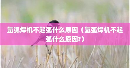 氩弧焊机不起弧什么原因（氩弧焊机不起弧什么原因?）