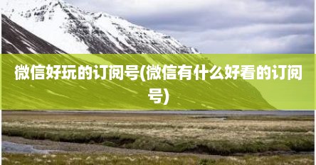 微信好玩的订阅号(微信有什么好看的订阅号)
