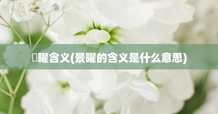 璟曜含义(景曜的含义是什么意思)