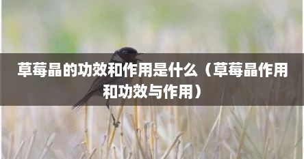 草莓晶的功效和作用是什么（草莓晶作用和功效与作用）