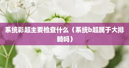 系统彩超主要检查什么（系统b超属于大排畸吗）
