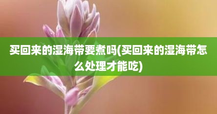 买回来的湿海带要煮吗(买回来的湿海带怎么处理才能吃)