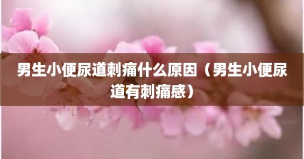 男生小便尿道刺痛什么原因（男生小便尿道有刺痛感）