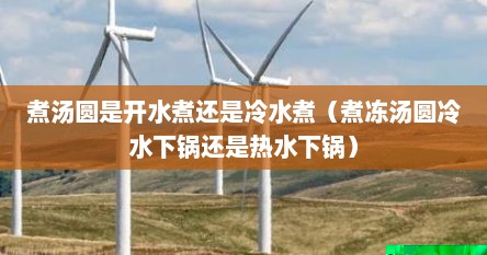 煮汤圆是开水煮还是冷水煮（煮冻汤圆冷水下锅还是热水下锅）