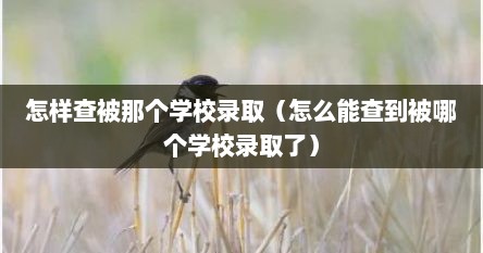 怎样查被那个学校录取（怎么能查到被哪个学校录取了）
