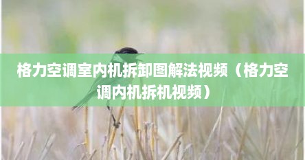 格力空调室内机拆卸图解法视频（格力空调内机拆机视频）
