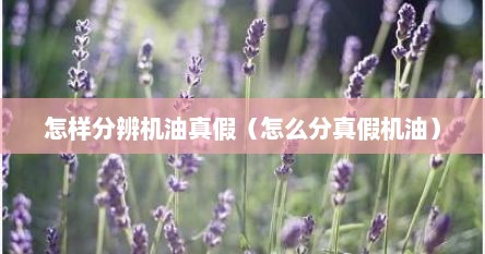 怎样分辨机油真假（怎么分真假机油）