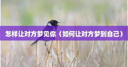 怎样让对方梦见你（如何让对方梦到自己）