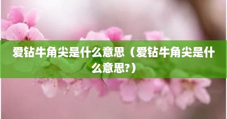 爱钻牛角尖是什么意思（爱钻牛角尖是什么意思?）