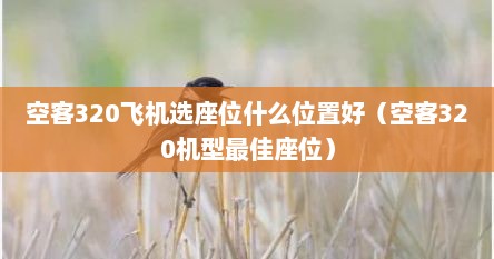 空客320飞机选座位什么位置好（空客320机型最佳座位）