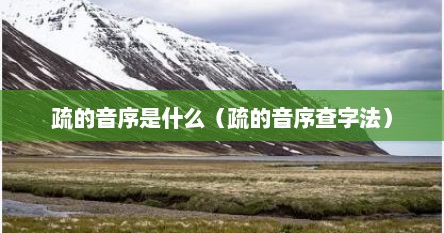 疏的音序是什么（疏的音序查字法）