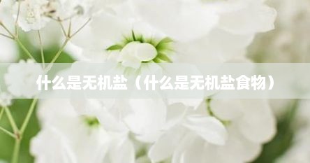 什么是无机盐的定义（什么是无机盐）