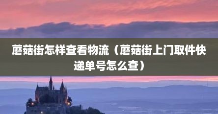 蘑菇街怎样查看物流（蘑菇街上门取件快递单号怎么查）
