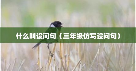 什么叫设问句（三年级仿写设问句）