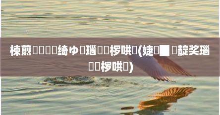 楝煎惞鐏綐绮ゆ槑瑙傜湅椤哄簭(婕▉鐢靛奖瑙傜湅椤哄簭)