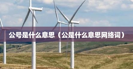 公号是什么意思（公是什么意思网络词）