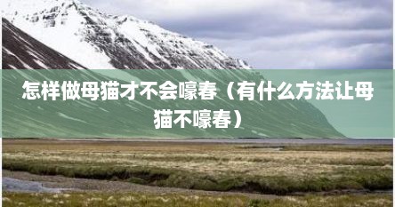怎样做母猫才不会嚎春（有什么方法让母猫不嚎春）
