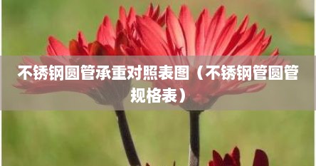不锈钢圆管承重对照表图（不锈钢管圆管规格表）
