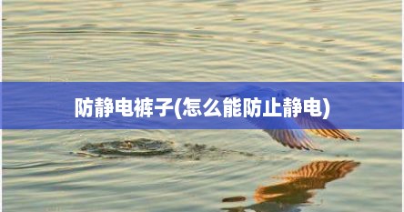 防静电裤子(怎么能防止静电)