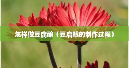 怎样做豆腐酿（豆腐酿的制作过程）
