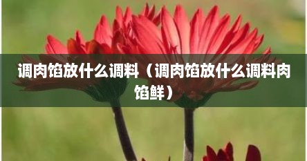 调肉馅放什么调料（调肉馅放什么调料肉馅鲜）