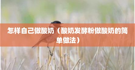 怎样自己做酸奶（酸奶发酵粉做酸奶的简单做法）