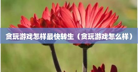 贪玩游戏怎样最快转生（贪玩游戏怎么样）
