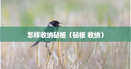 怎样收纳砧板（砧板 收纳）