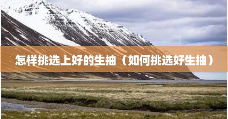 怎样挑选上好的生抽（如何挑选好生抽）