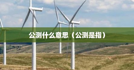 公测的意思是开放了吗（公测什么意思 公测是什么）