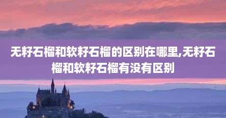 无籽石榴和软籽石榴的区别在哪里,无籽石榴和软籽石榴有没有区别