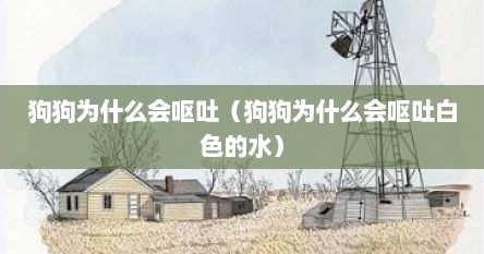 狗狗为什么会呕吐（狗狗为什么会呕吐白色的水）