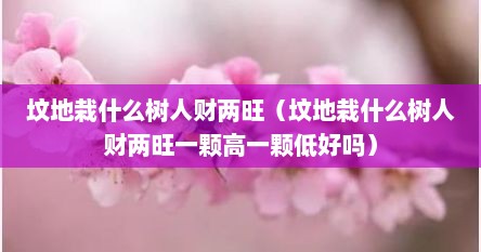 坟地栽什么树人财两旺（坟地栽什么树人财两旺一颗高一颗低好吗）