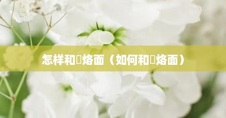 怎样和饸烙面（如何和饸烙面）