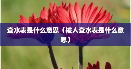 查水表是什么意思（被人查水表是什么意思）