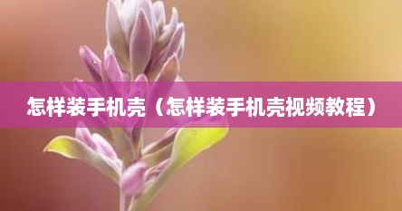 怎样装手机壳（怎样装手机壳视频教程）