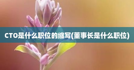 CTO是什么职位的缩写(董事长是什么职位)