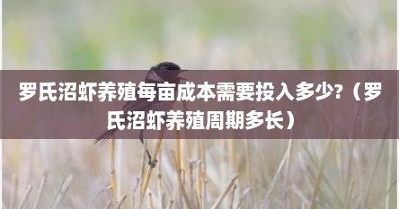 罗氏沼虾养殖每亩成本需要投入多少?（罗氏沼虾养殖周期多长）