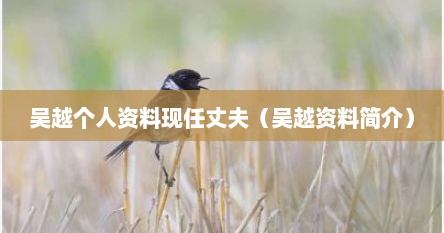 吴越个人资料现任丈夫（吴越资料简介）