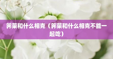 荠菜和什么相克（荠菜和什么相克不能一起吃）