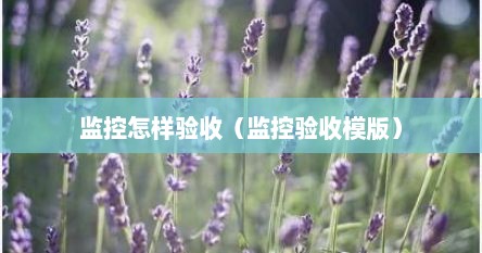 监控怎样验收（监控验收模版）