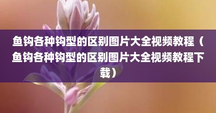 鱼钩各种钩型的区别图片大全视频教程（鱼钩各种钩型的区别图片大全视频教程下载）