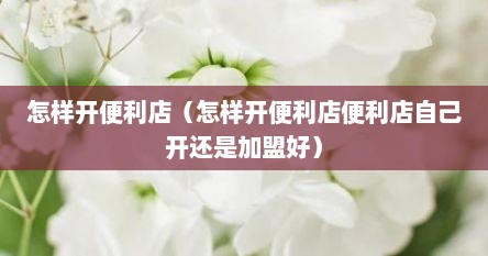 怎样开便利店（怎样开便利店便利店自己开还是加盟好）