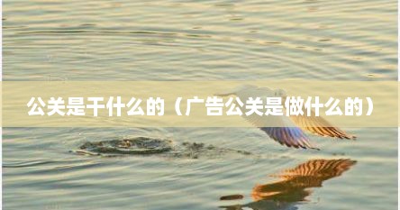 公关是干什么的（广告公关是做什么的）