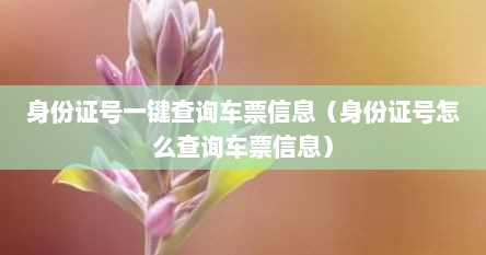 身份证号一键查询车票信息（身份证号怎么查询车票信息）
