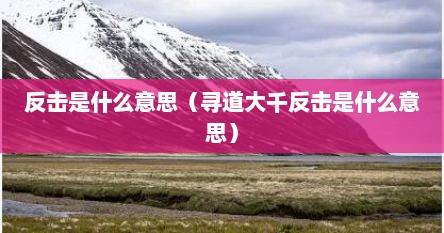 反击是什么意思（寻道大千反击是什么意思）