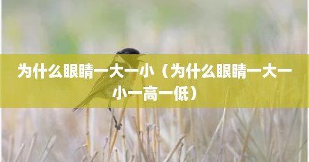 为什么眼睛一大一小（为什么眼睛一大一小一高一低）