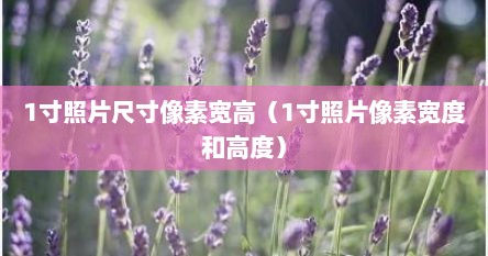 1寸照片尺寸像素宽高（1寸照片像素宽度和高度）