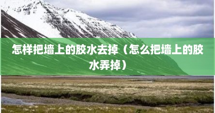怎样把墙上的胶水去掉（怎么把墙上的胶水弄掉）